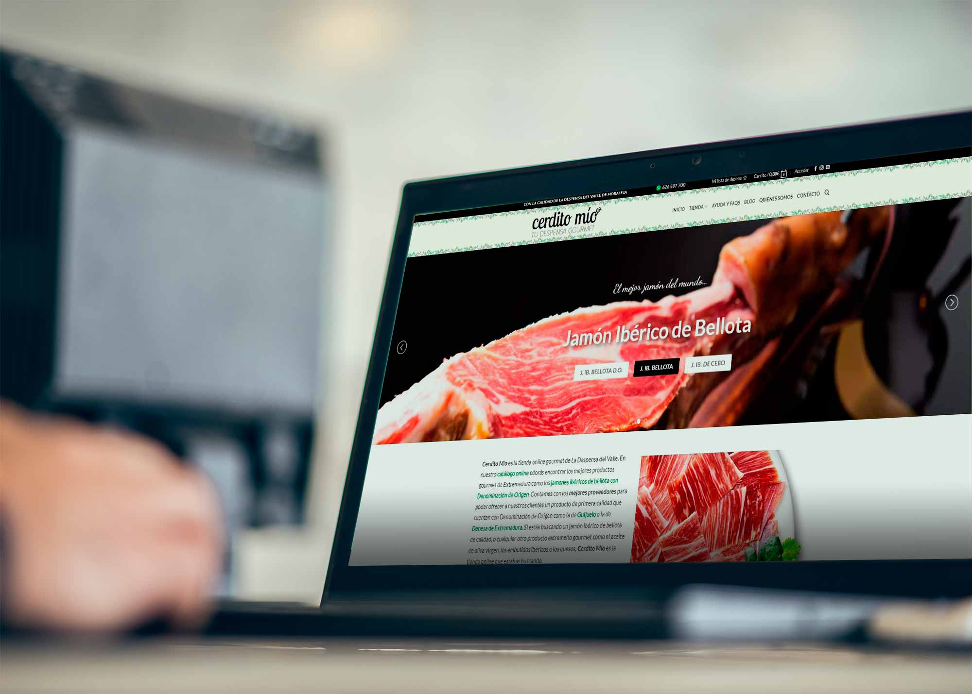 Proyecto Ecommerce para Cerdito Mío, versión ordenador Ivory: Proyecto Ecommerce para Cerdito Mío, versión ordenador